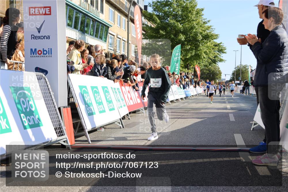 15.09.2024 - PSD Bank Halbmarathon Strokosch-Dieckow http://msf.ph/oto/7067123 15.09.2024 10:27:09 Ziel 18, 42, 69, 75, 82, 167, 215, 270, 284, 294 meine-sportfotos.de