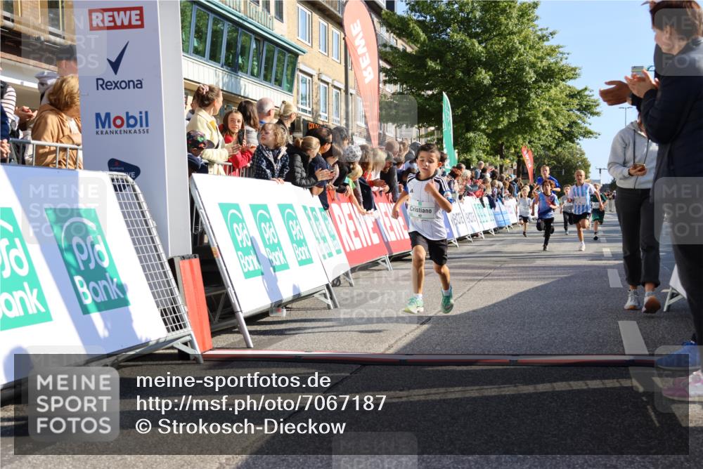 15.09.2024 - PSD Bank Halbmarathon Strokosch-Dieckow http://msf.ph/oto/7067187 15.09.2024 10:27:13 Ziel 18, 42, 69, 75, 82, 167, 270, 284, 294 meine-sportfotos.de