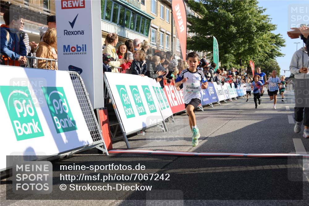 15.09.2024 - PSD Bank Halbmarathon Strokosch-Dieckow http://msf.ph/oto/7067242 15.09.2024 10:27:13 Ziel 18, 42, 69, 75, 82, 167, 270, 284, 294 meine-sportfotos.de