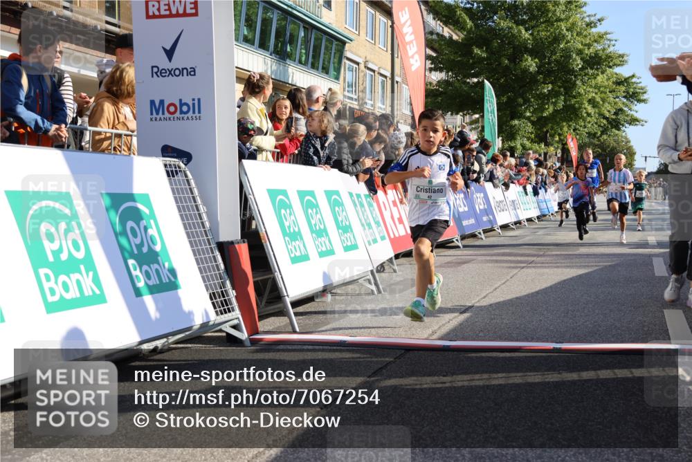15.09.2024 - PSD Bank Halbmarathon Strokosch-Dieckow http://msf.ph/oto/7067254 15.09.2024 10:27:13 Ziel 18, 42, 69, 75, 82, 167, 270, 284, 294 meine-sportfotos.de