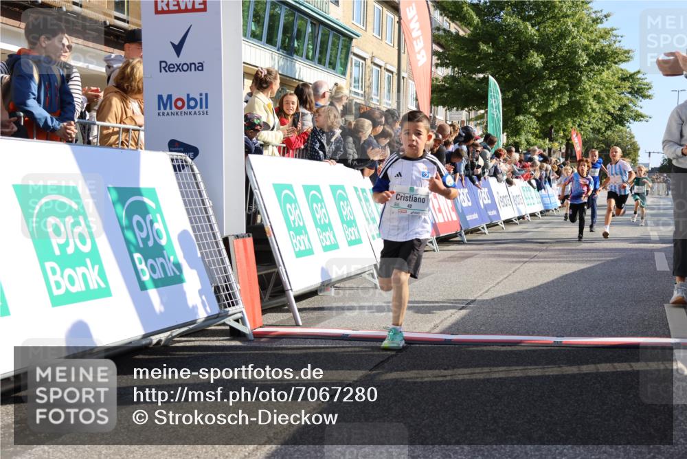 15.09.2024 - PSD Bank Halbmarathon Strokosch-Dieckow http://msf.ph/oto/7067280 15.09.2024 10:27:13 Ziel 18, 42, 69, 75, 82, 167, 270, 284, 294 meine-sportfotos.de