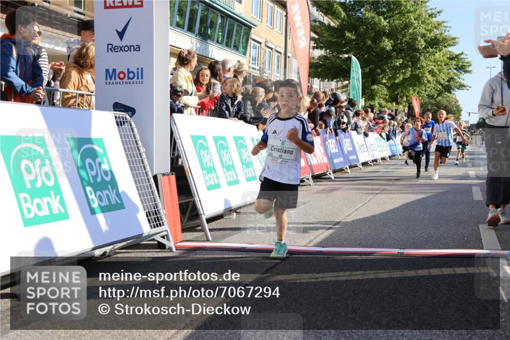 15.09.2024 - PSD Bank Halbmarathon Strokosch-Dieckow http://msf.ph/oto/7067294 15.09.2024 10:27:13 Ziel 18, 42, 69, 75, 82, 167, 270, 284, 294 meine-sportfotos.de