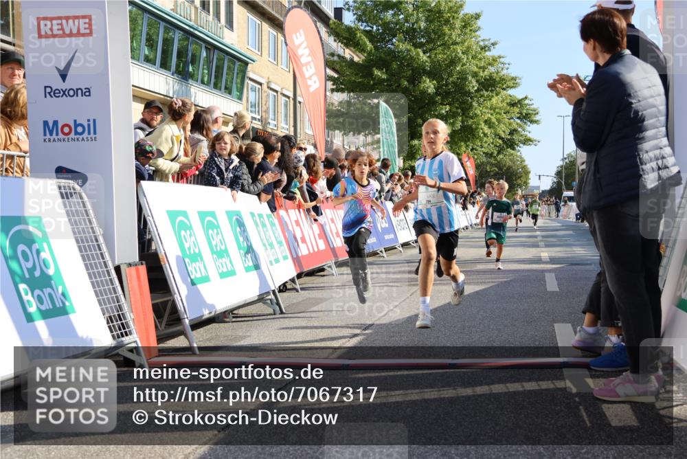 15.09.2024 - PSD Bank Halbmarathon Strokosch-Dieckow http://msf.ph/oto/7067317 15.09.2024 10:27:15 Ziel 18, 42, 69, 75, 82, 167, 198, 210, 270, 284, 294 meine-sportfotos.de
