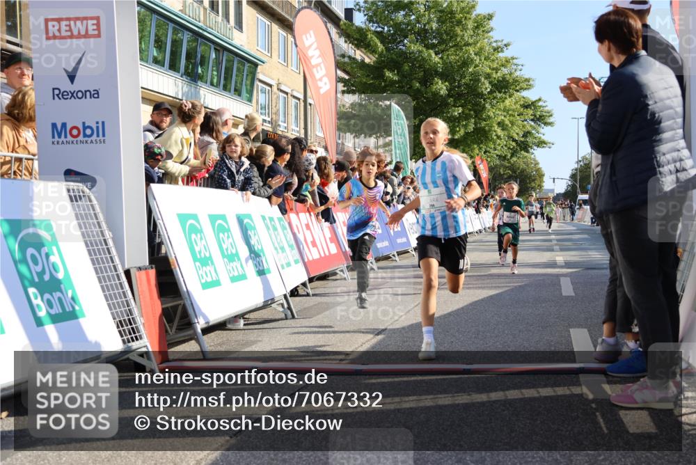 15.09.2024 - PSD Bank Halbmarathon Strokosch-Dieckow http://msf.ph/oto/7067332 15.09.2024 10:27:15 Ziel 18, 42, 69, 75, 82, 167, 198, 210, 270, 284, 294 meine-sportfotos.de