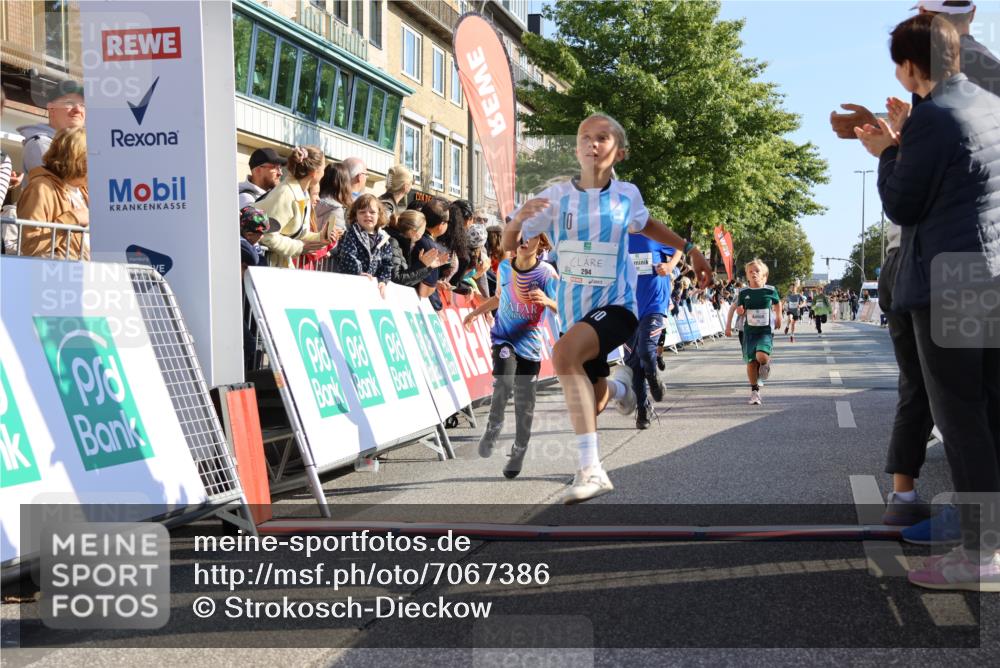 15.09.2024 - PSD Bank Halbmarathon Strokosch-Dieckow http://msf.ph/oto/7067386 15.09.2024 10:27:15 Ziel 18, 42, 69, 75, 82, 167, 198, 210, 270, 284, 294 meine-sportfotos.de