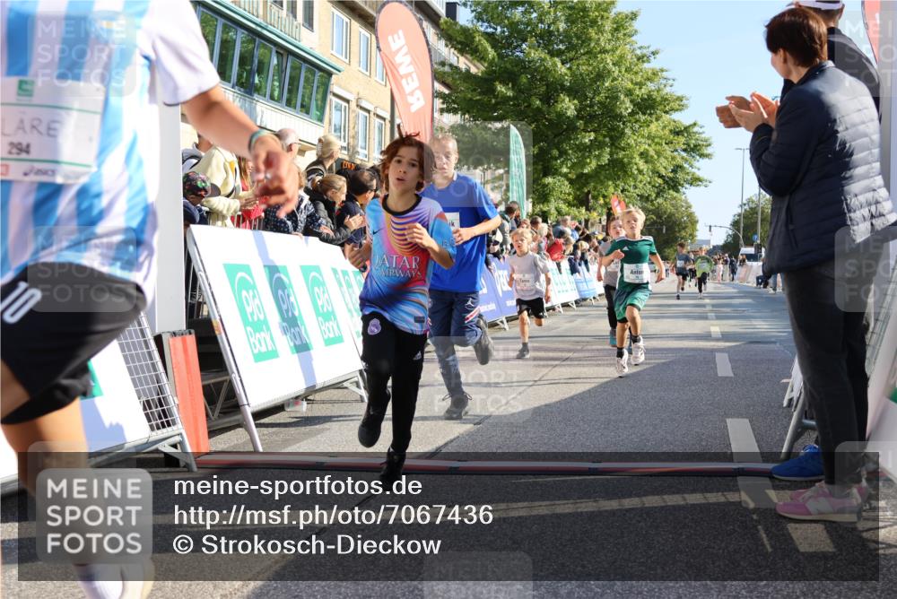 15.09.2024 - PSD Bank Halbmarathon Strokosch-Dieckow http://msf.ph/oto/7067436 15.09.2024 10:27:16 Ziel 18, 42, 69, 75, 82, 167, 198, 210, 270, 284, 294 meine-sportfotos.de