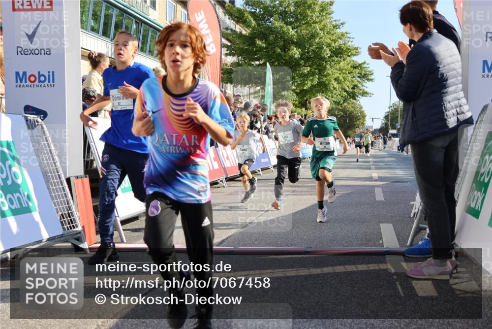15.09.2024 - PSD Bank Halbmarathon Strokosch-Dieckow http://msf.ph/oto/7067458 15.09.2024 10:27:17 Ziel 18, 42, 69, 75, 82, 167, 198, 210, 270, 294 meine-sportfotos.de