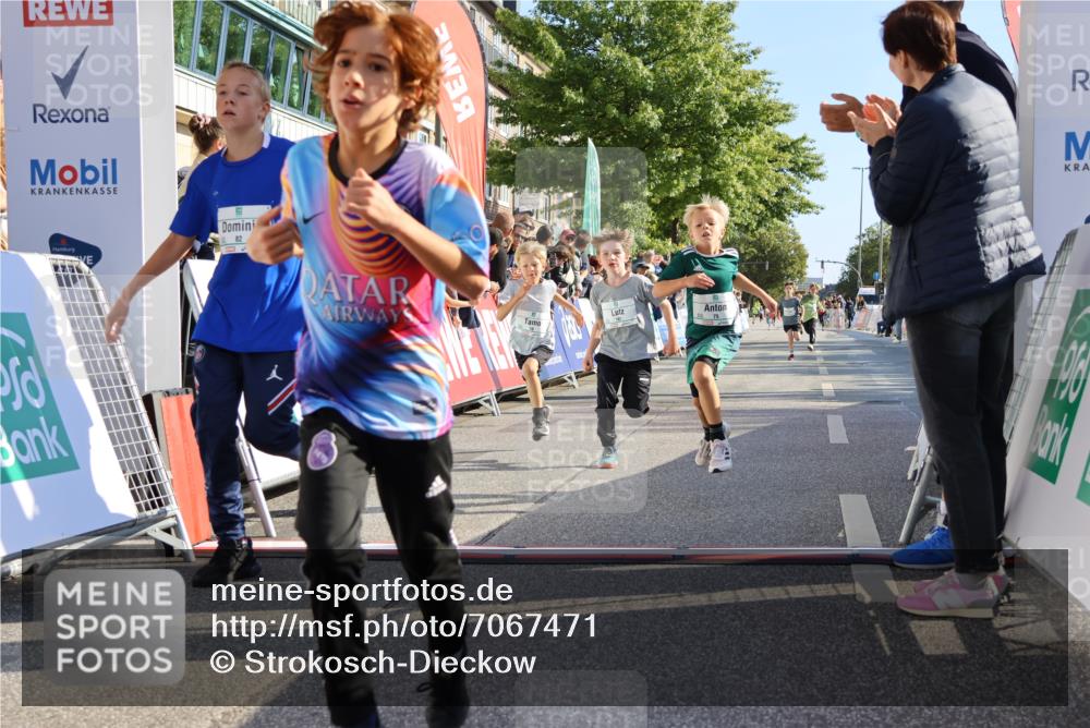 15.09.2024 - PSD Bank Halbmarathon Strokosch-Dieckow http://msf.ph/oto/7067471 15.09.2024 10:27:17 Ziel 18, 42, 69, 75, 82, 167, 198, 210, 270, 294 meine-sportfotos.de