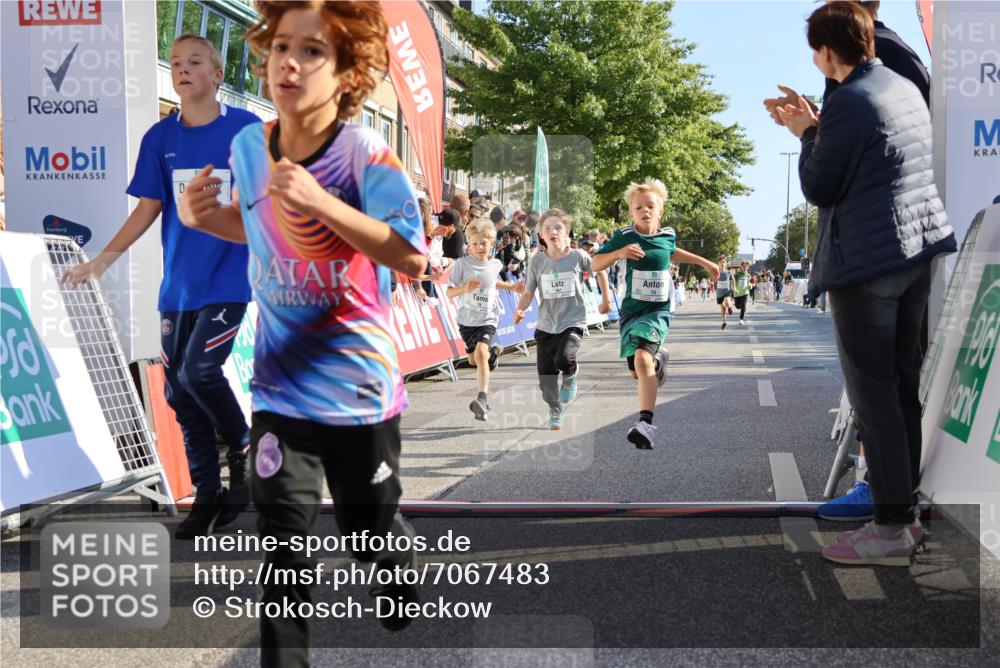 15.09.2024 - PSD Bank Halbmarathon Strokosch-Dieckow http://msf.ph/oto/7067483 15.09.2024 10:27:17 Ziel 18, 42, 69, 75, 82, 167, 198, 210, 270, 294 meine-sportfotos.de