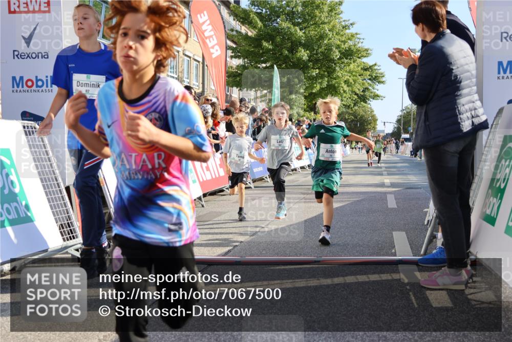 15.09.2024 - PSD Bank Halbmarathon Strokosch-Dieckow http://msf.ph/oto/7067500 15.09.2024 10:27:17 Ziel 18, 42, 69, 75, 82, 167, 198, 210, 270, 294 meine-sportfotos.de