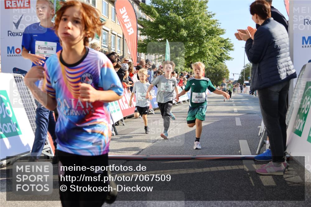 15.09.2024 - PSD Bank Halbmarathon Strokosch-Dieckow http://msf.ph/oto/7067509 15.09.2024 10:27:17 Ziel 18, 42, 69, 75, 82, 167, 198, 210, 270, 294 meine-sportfotos.de
