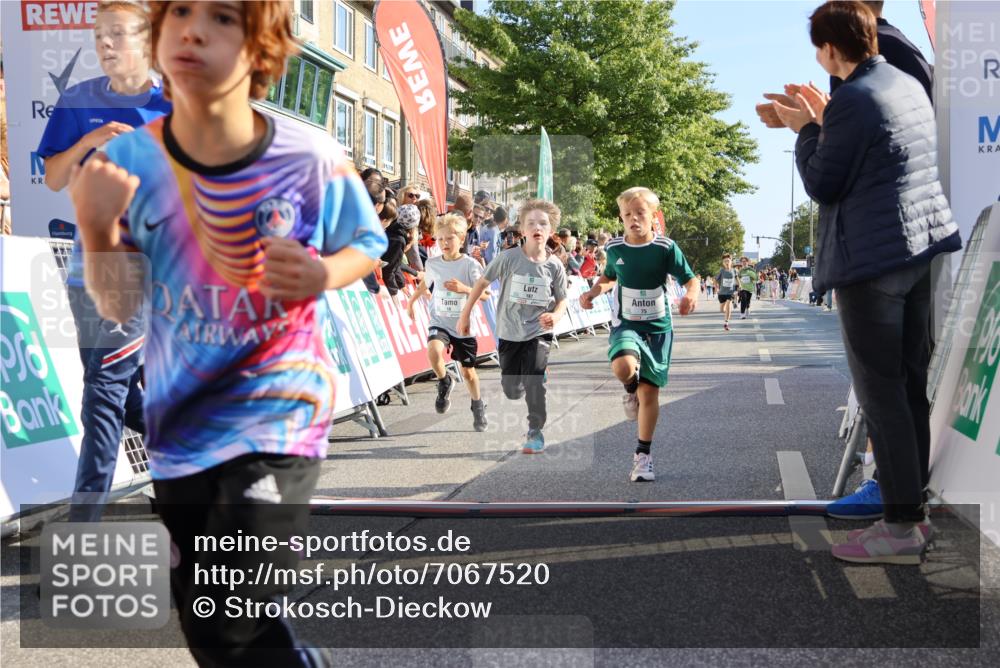 15.09.2024 - PSD Bank Halbmarathon Strokosch-Dieckow http://msf.ph/oto/7067520 15.09.2024 10:27:17 Ziel 18, 42, 69, 75, 82, 167, 198, 210, 270, 294 meine-sportfotos.de