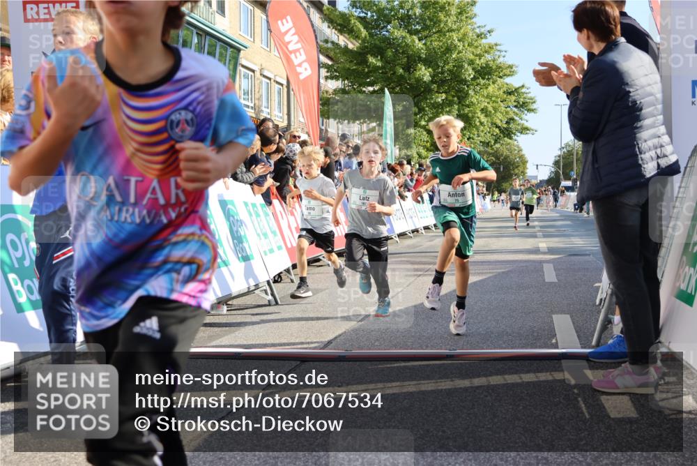 15.09.2024 - PSD Bank Halbmarathon Strokosch-Dieckow http://msf.ph/oto/7067534 15.09.2024 10:27:17 Ziel 18, 42, 69, 75, 82, 167, 198, 210, 270, 294 meine-sportfotos.de