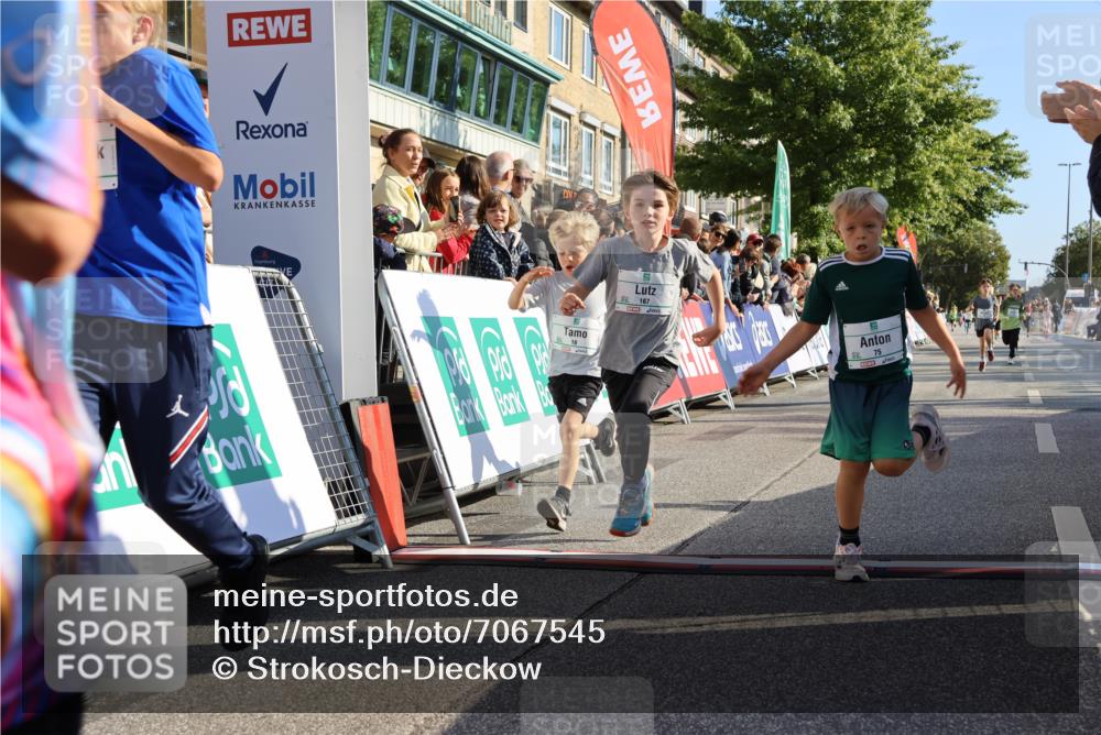15.09.2024 - PSD Bank Halbmarathon Strokosch-Dieckow http://msf.ph/oto/7067545 15.09.2024 10:27:17 Ziel 18, 42, 69, 75, 82, 167, 198, 210, 270, 294 meine-sportfotos.de