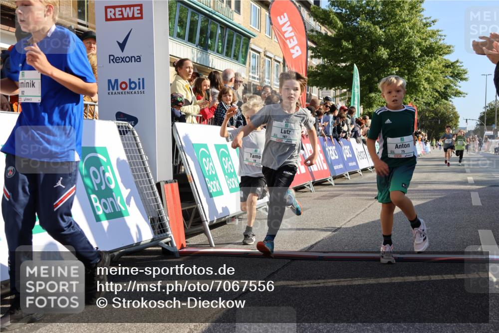 15.09.2024 - PSD Bank Halbmarathon Strokosch-Dieckow http://msf.ph/oto/7067556 15.09.2024 10:27:17 Ziel 18, 42, 69, 75, 82, 167, 198, 210, 270, 294 meine-sportfotos.de