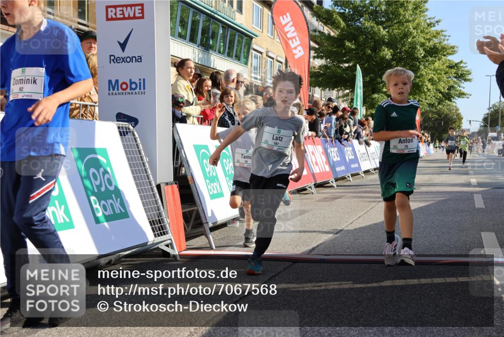 15.09.2024 - PSD Bank Halbmarathon Strokosch-Dieckow http://msf.ph/oto/7067568 15.09.2024 10:27:17 Ziel 18, 42, 69, 75, 82, 167, 198, 210, 270, 294 meine-sportfotos.de
