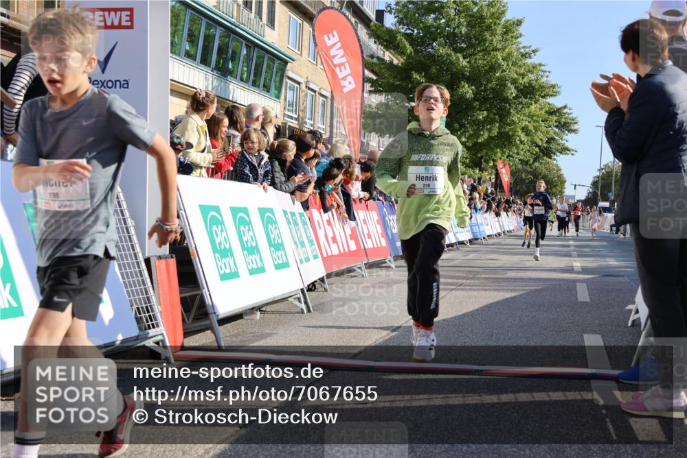 15.09.2024 - PSD Bank Halbmarathon Strokosch-Dieckow http://msf.ph/oto/7067655 15.09.2024 10:27:23 Ziel 18, 42, 75, 82, 87, 136, 139, 167, 198, 210, 270, 294 meine-sportfotos.de