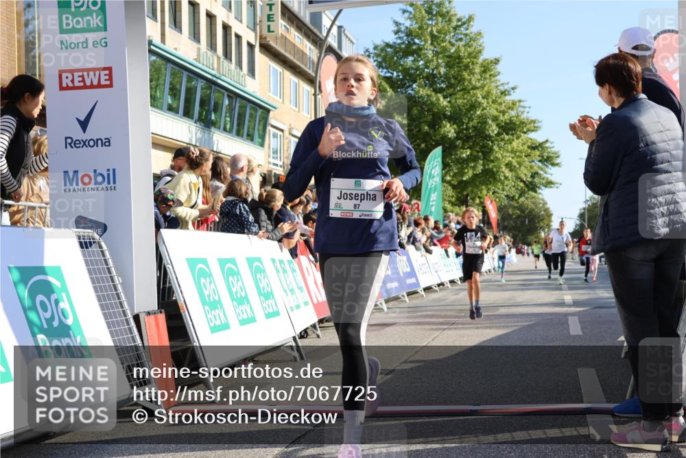 15.09.2024 - PSD Bank Halbmarathon Strokosch-Dieckow http://msf.ph/oto/7067725 15.09.2024 10:27:27 Ziel 18, 48, 75, 82, 87, 136, 139, 167, 198, 210, 219, 268, 270, 272, 294 meine-sportfotos.de
