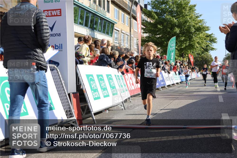 15.09.2024 - PSD Bank Halbmarathon Strokosch-Dieckow http://msf.ph/oto/7067736 15.09.2024 10:27:29 Ziel 18, 48, 75, 87, 136, 139, 167, 198, 210, 219, 268, 272 meine-sportfotos.de