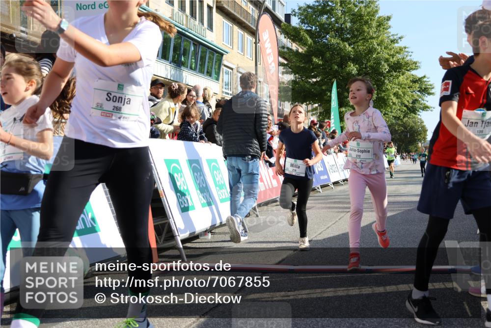 15.09.2024 - PSD Bank Halbmarathon Strokosch-Dieckow http://msf.ph/oto/7067855 15.09.2024 10:27:33 Ziel 48, 87, 136, 139, 174, 198, 210, 219, 233, 268, 272 meine-sportfotos.de