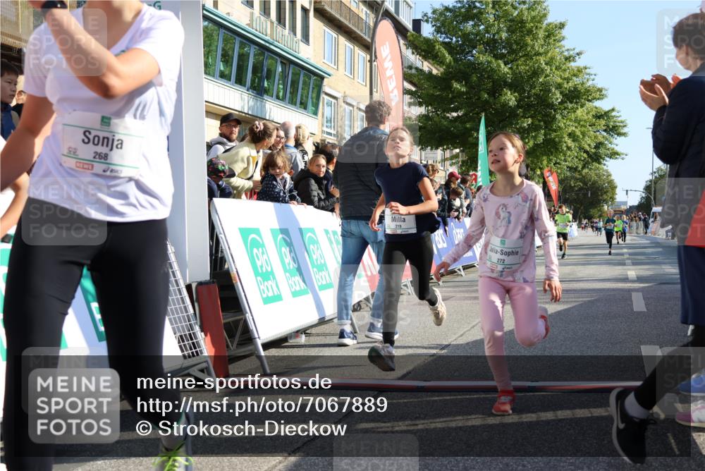 15.09.2024 - PSD Bank Halbmarathon Strokosch-Dieckow http://msf.ph/oto/7067889 15.09.2024 10:27:33 Ziel 48, 87, 136, 139, 174, 198, 210, 219, 233, 268, 272 meine-sportfotos.de