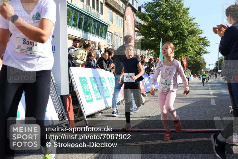 15.09.2024 - PSD Bank Halbmarathon Strokosch-Dieckow http://msf.ph/oto/7067902 15.09.2024 10:27:33 Ziel 48, 87, 136, 139, 174, 198, 210, 219, 233, 268, 272 meine-sportfotos.de