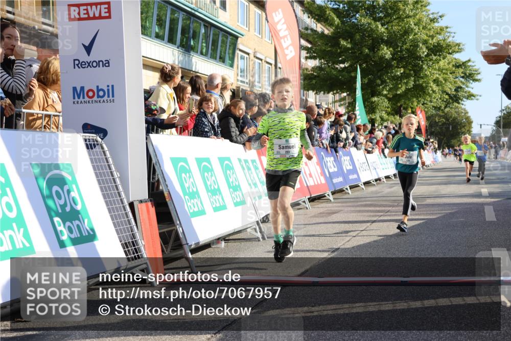 15.09.2024 - PSD Bank Halbmarathon Strokosch-Dieckow http://msf.ph/oto/7067957 15.09.2024 10:27:39 Ziel 8, 48, 122, 136, 139, 159, 174, 219, 233, 268, 272 meine-sportfotos.de
