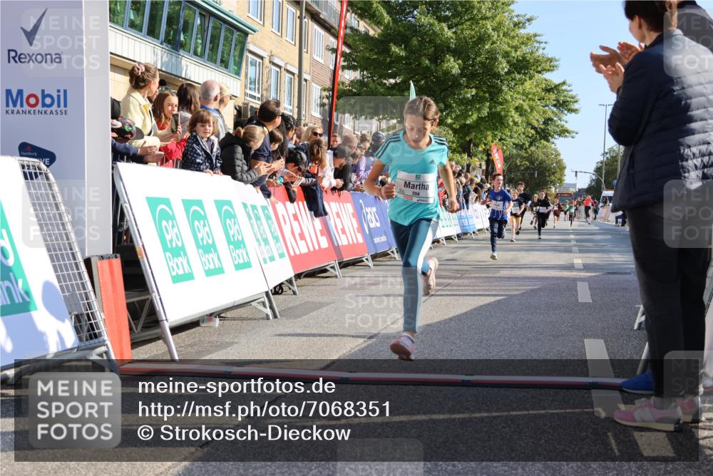 15.09.2024 - PSD Bank Halbmarathon Strokosch-Dieckow http://msf.ph/oto/7068351 15.09.2024 10:27:49 Ziel 8, 37, 101, 103, 122, 125, 159, 174, 204, 233 meine-sportfotos.de