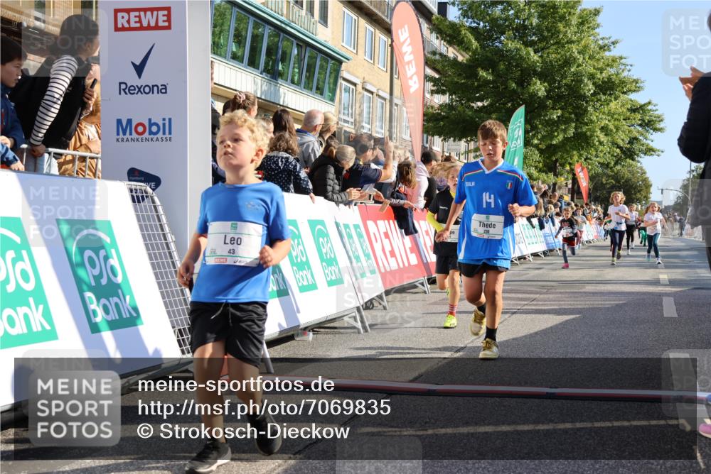 15.09.2024 - PSD Bank Halbmarathon Strokosch-Dieckow http://msf.ph/oto/7069835 15.09.2024 10:28:16 Ziel 14, 43, 77, 84, 94, 108, 128, 132, 138, 161, 208, 217, 230, 247, 261, 262, 293 meine-sportfotos.de