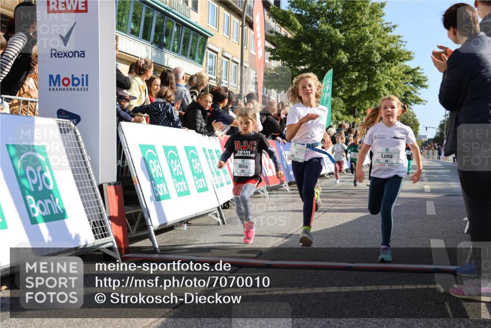 15.09.2024 - PSD Bank Halbmarathon Strokosch-Dieckow http://msf.ph/oto/7070010 15.09.2024 10:28:19 Ziel 14, 43, 77, 84, 94, 132, 135, 161, 208, 217, 230, 247, 258, 261, 262, 293 meine-sportfotos.de