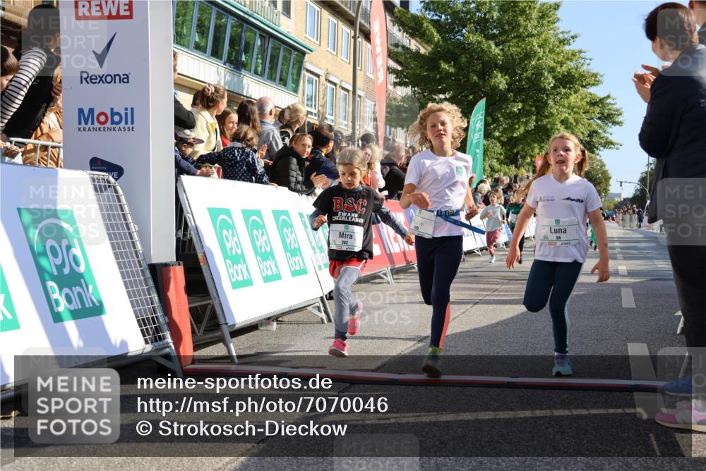 15.09.2024 - PSD Bank Halbmarathon Strokosch-Dieckow http://msf.ph/oto/7070046 15.09.2024 10:28:19 Ziel 14, 43, 77, 84, 94, 132, 135, 161, 208, 217, 230, 247, 258, 261, 262, 293 meine-sportfotos.de