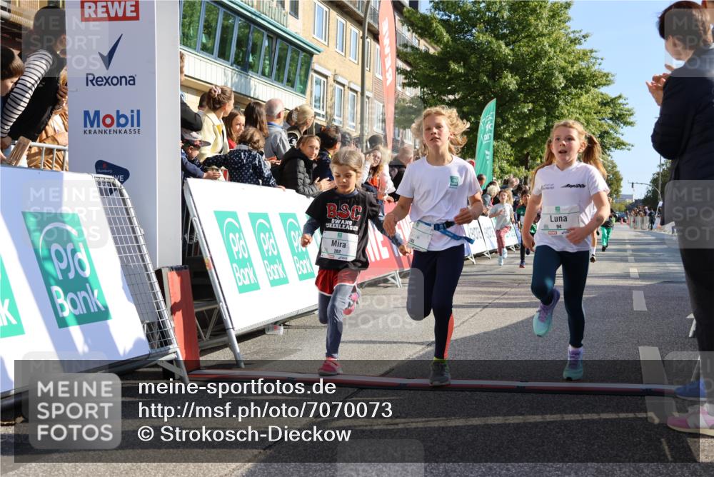 15.09.2024 - PSD Bank Halbmarathon Strokosch-Dieckow http://msf.ph/oto/7070073 15.09.2024 10:28:19 Ziel 14, 43, 77, 84, 94, 132, 135, 161, 208, 217, 230, 247, 258, 261, 262, 293 meine-sportfotos.de