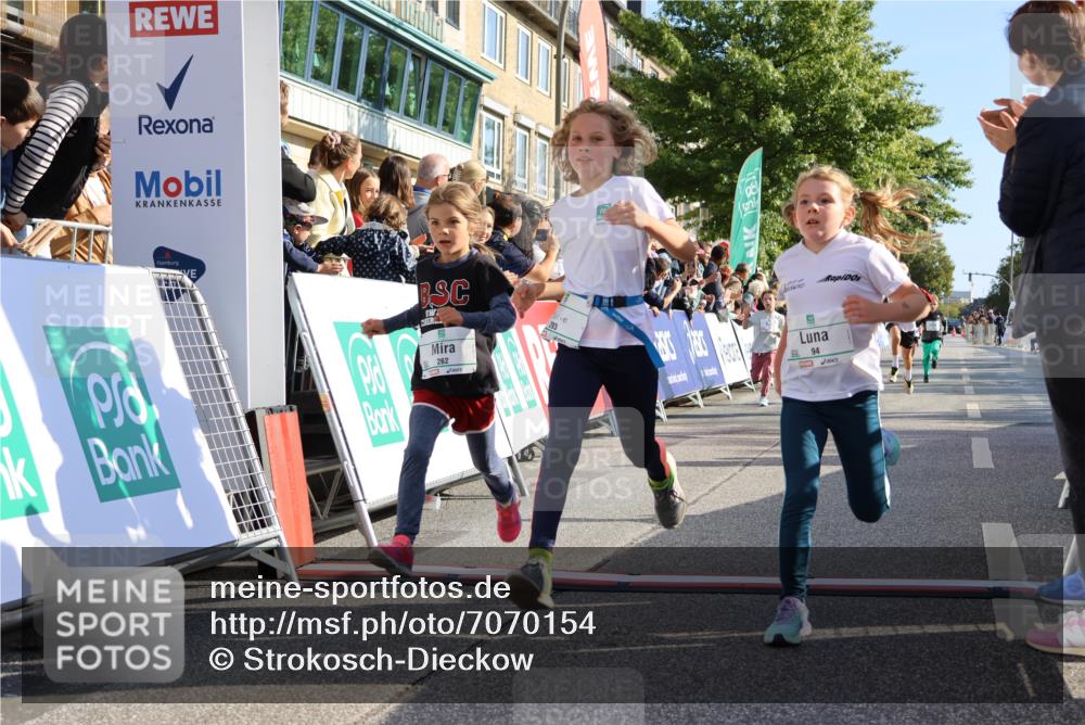 15.09.2024 - PSD Bank Halbmarathon Strokosch-Dieckow http://msf.ph/oto/7070154 15.09.2024 10:28:19 Ziel 14, 43, 77, 84, 94, 132, 135, 161, 208, 217, 230, 247, 258, 261, 262, 293 meine-sportfotos.de