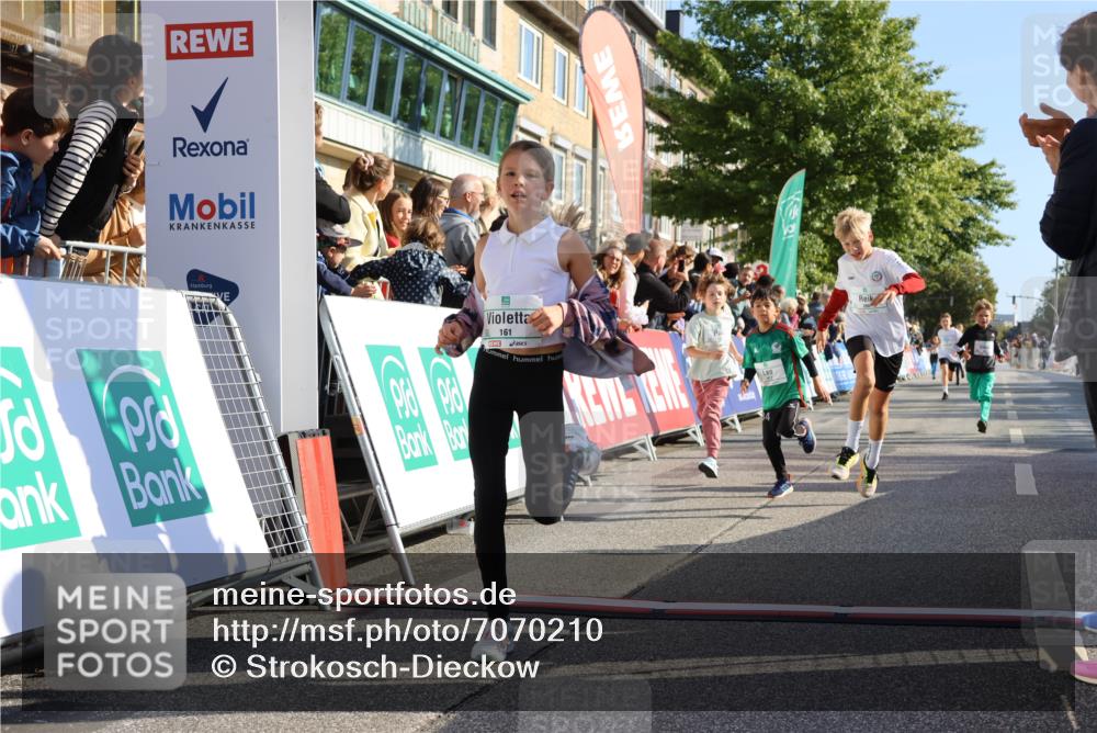 15.09.2024 - PSD Bank Halbmarathon Strokosch-Dieckow http://msf.ph/oto/7070210 15.09.2024 10:28:21 Ziel 14, 43, 77, 84, 94, 132, 135, 161, 166, 208, 217, 230, 247, 258, 261, 262, 293 meine-sportfotos.de