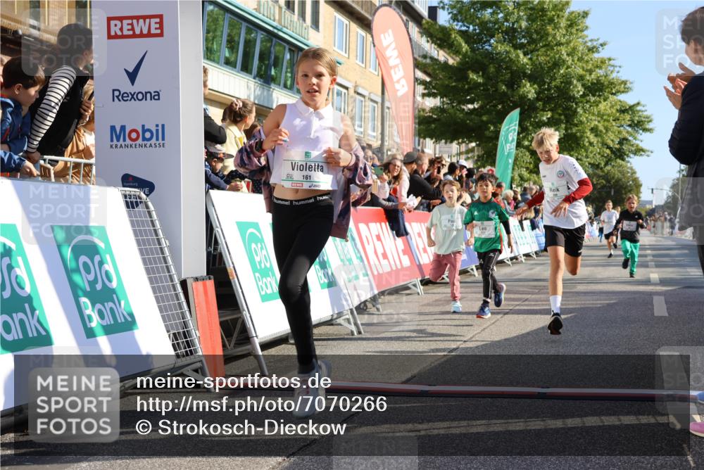 15.09.2024 - PSD Bank Halbmarathon Strokosch-Dieckow http://msf.ph/oto/7070266 15.09.2024 10:28:21 Ziel 14, 43, 77, 84, 94, 132, 135, 161, 166, 208, 217, 230, 247, 258, 261, 262, 293 meine-sportfotos.de