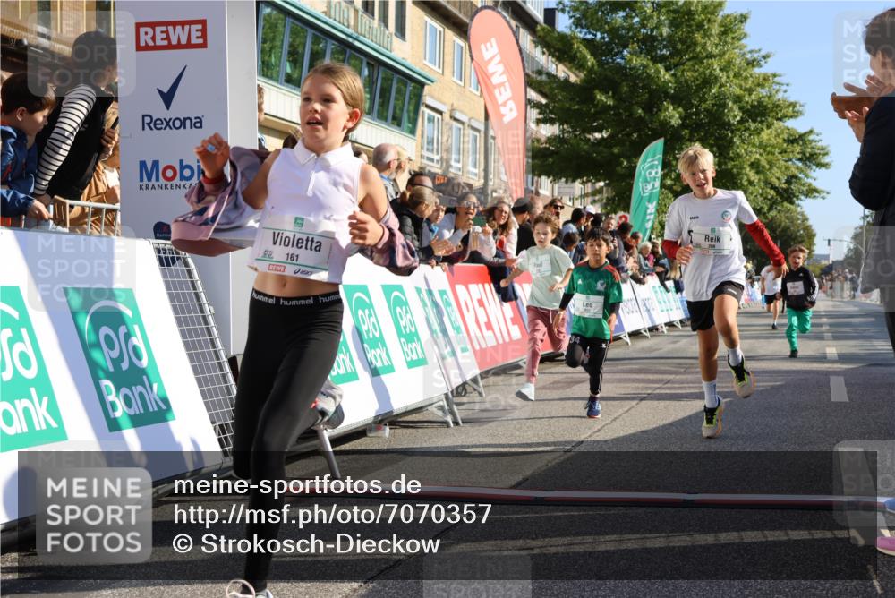 15.09.2024 - PSD Bank Halbmarathon Strokosch-Dieckow http://msf.ph/oto/7070357 15.09.2024 10:28:22 Ziel 14, 43, 77, 84, 94, 132, 135, 161, 166, 208, 217, 230, 247, 258, 261, 262, 293 meine-sportfotos.de