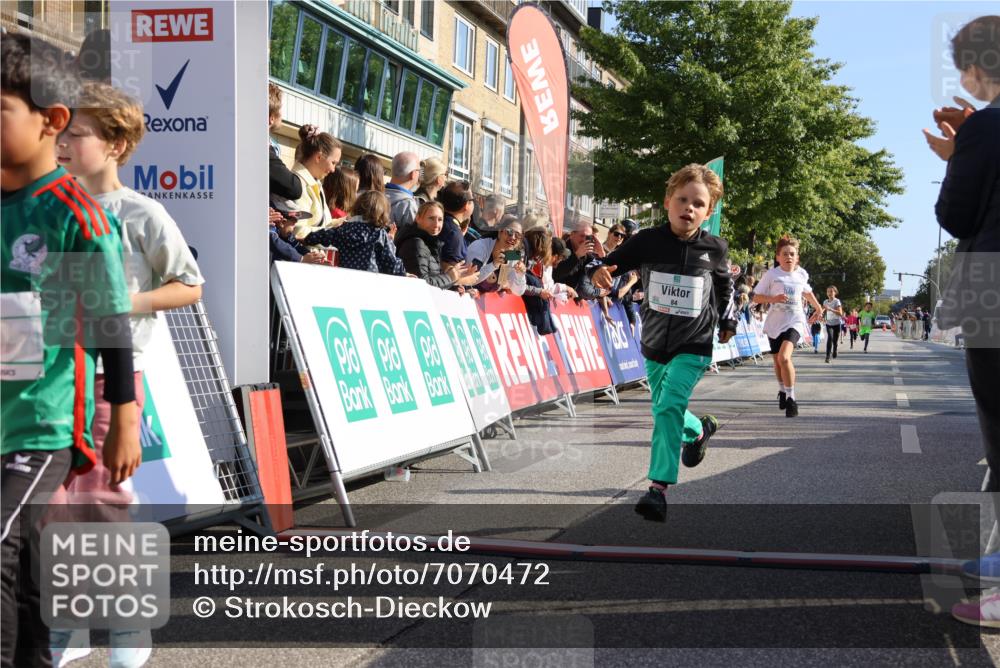 15.09.2024 - PSD Bank Halbmarathon Strokosch-Dieckow http://msf.ph/oto/7070472 15.09.2024 10:28:24 Ziel 14, 43, 77, 84, 94, 132, 135, 161, 166, 208, 217, 230, 258, 262, 293 meine-sportfotos.de