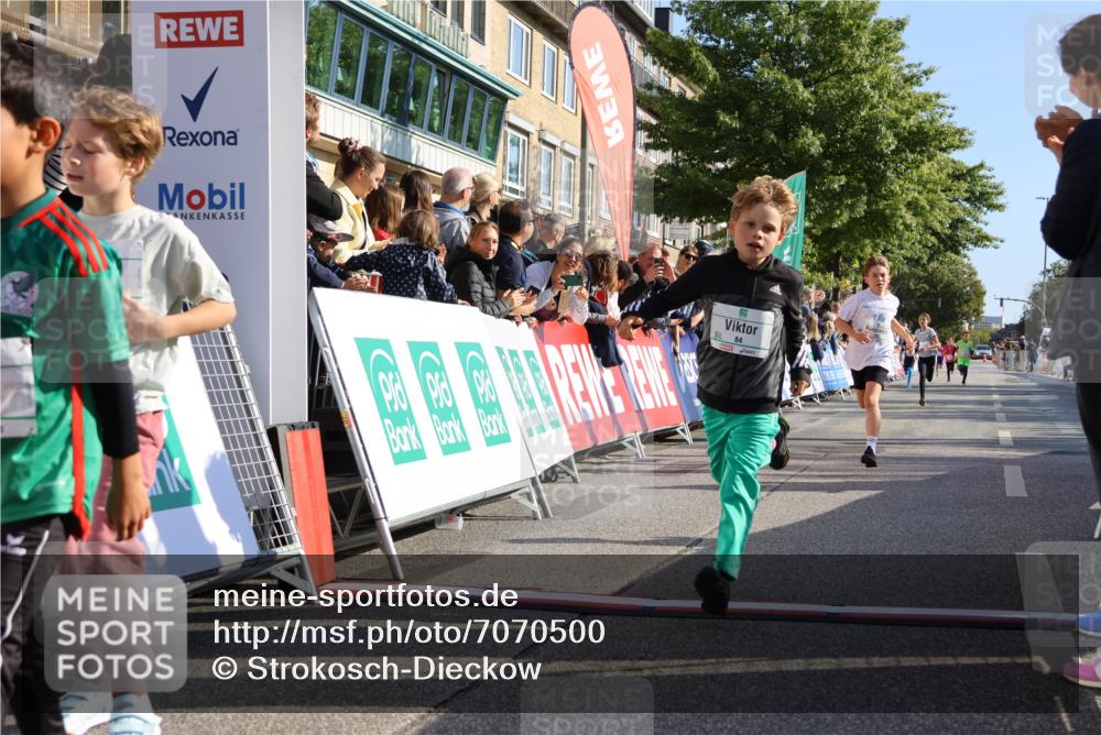 15.09.2024 - PSD Bank Halbmarathon Strokosch-Dieckow http://msf.ph/oto/7070500 15.09.2024 10:28:24 Ziel 14, 43, 77, 84, 94, 132, 135, 161, 166, 208, 217, 230, 258, 262, 293 meine-sportfotos.de