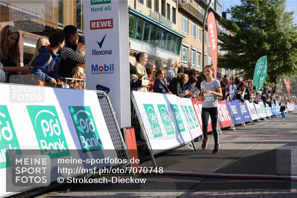 15.09.2024 - PSD Bank Halbmarathon Strokosch-Dieckow http://msf.ph/oto/7070748 15.09.2024 10:28:29 Ziel 84, 89, 94, 132, 135, 149, 161, 166, 208, 217, 258, 262, 285, 293 meine-sportfotos.de