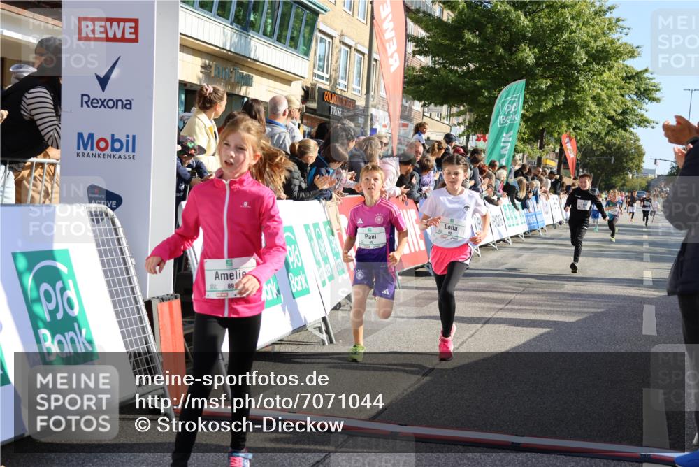 15.09.2024 - PSD Bank Halbmarathon Strokosch-Dieckow http://msf.ph/oto/7071044 15.09.2024 10:28:39 Ziel 45, 89, 92, 149, 166, 183, 243, 285 meine-sportfotos.de