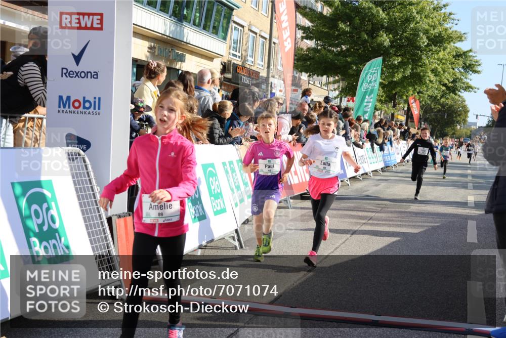 15.09.2024 - PSD Bank Halbmarathon Strokosch-Dieckow http://msf.ph/oto/7071074 15.09.2024 10:28:39 Ziel 45, 89, 92, 149, 166, 183, 243, 285 meine-sportfotos.de