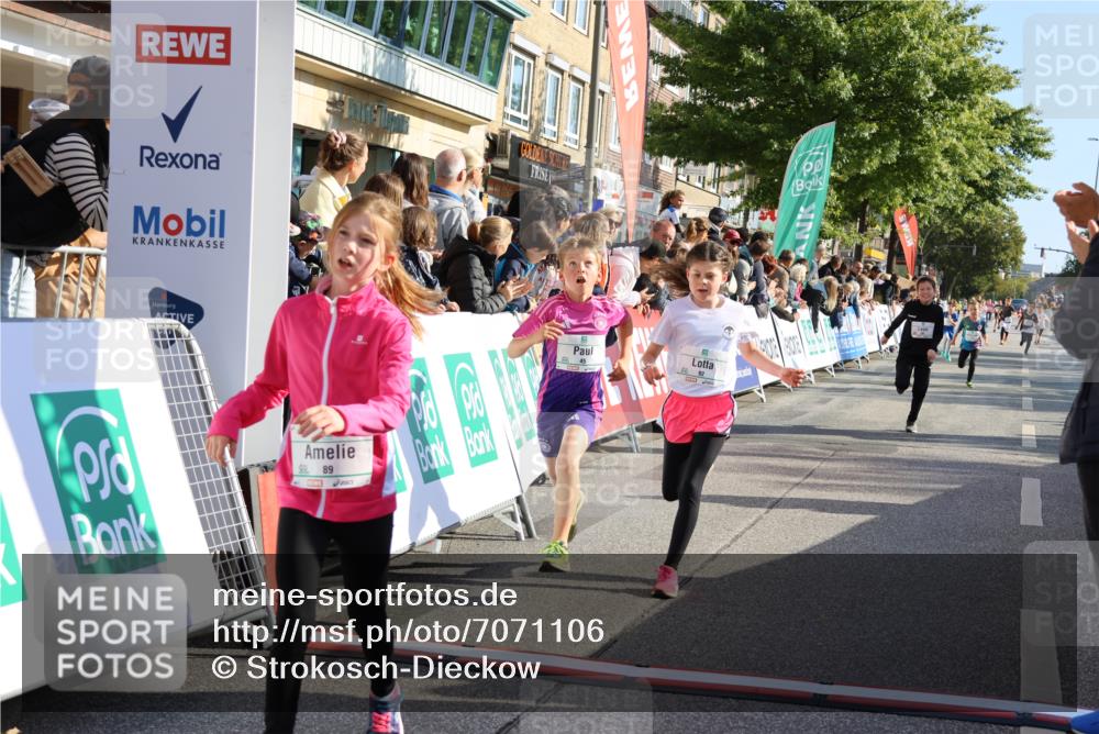 15.09.2024 - PSD Bank Halbmarathon Strokosch-Dieckow http://msf.ph/oto/7071106 15.09.2024 10:28:39 Ziel 45, 89, 92, 149, 166, 183, 243, 285 meine-sportfotos.de