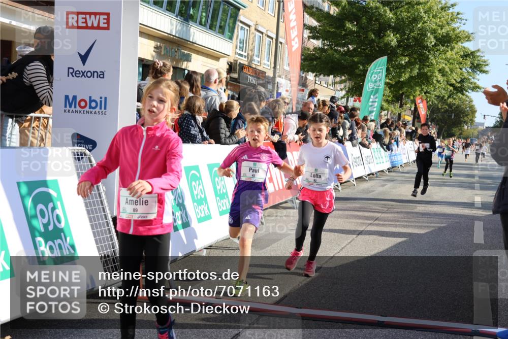 15.09.2024 - PSD Bank Halbmarathon Strokosch-Dieckow http://msf.ph/oto/7071163 15.09.2024 10:28:39 Ziel 45, 89, 92, 149, 166, 183, 243, 285 meine-sportfotos.de