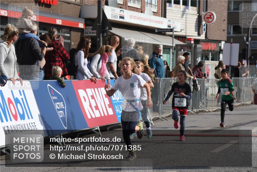 15.09.2024 - PSD Bank Halbmarathon Michael Strokosch http://msf.ph/oto/7071385 15.09.2024 10:28:02 Ziel 14, 43, 77, 84, 94, 132, 161, 208, 217, 230, 247, 258, 261, 262, 293 meine-sportfotos.de
