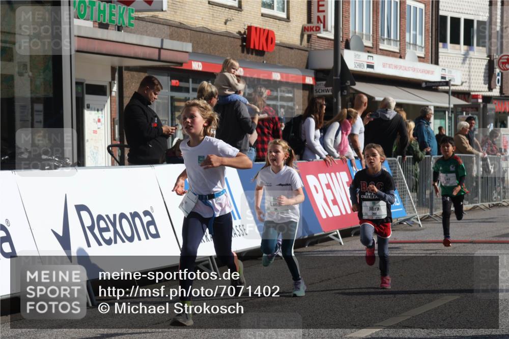 15.09.2024 - PSD Bank Halbmarathon Michael Strokosch http://msf.ph/oto/7071402 15.09.2024 10:28:03 Ziel 14, 43, 77, 84, 94, 132, 161, 208, 217, 230, 247, 258, 262, 293 meine-sportfotos.de