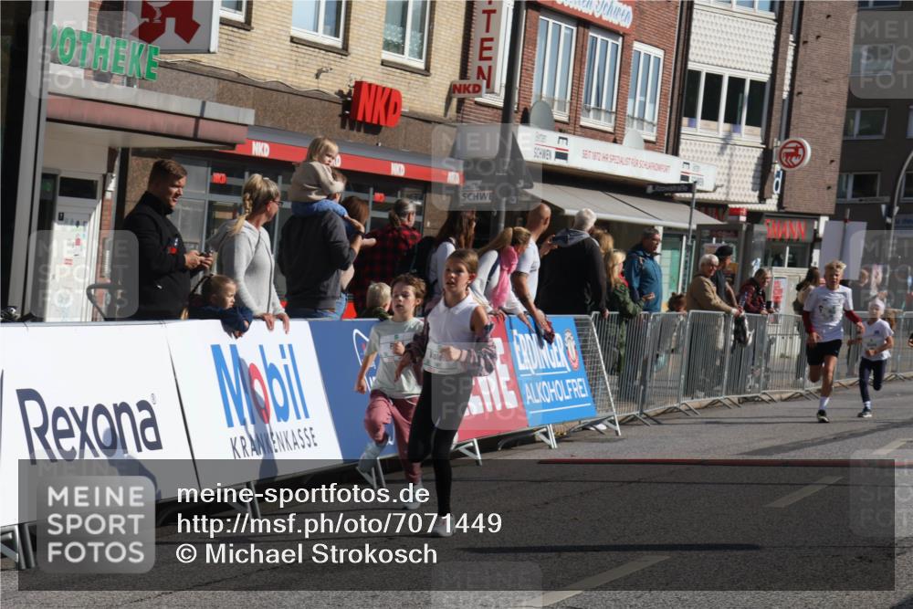 15.09.2024 - PSD Bank Halbmarathon Michael Strokosch http://msf.ph/oto/7071449 15.09.2024 10:28:05 Ziel 14, 43, 77, 84, 94, 132, 135, 161, 208, 217, 230, 258, 262, 293 meine-sportfotos.de