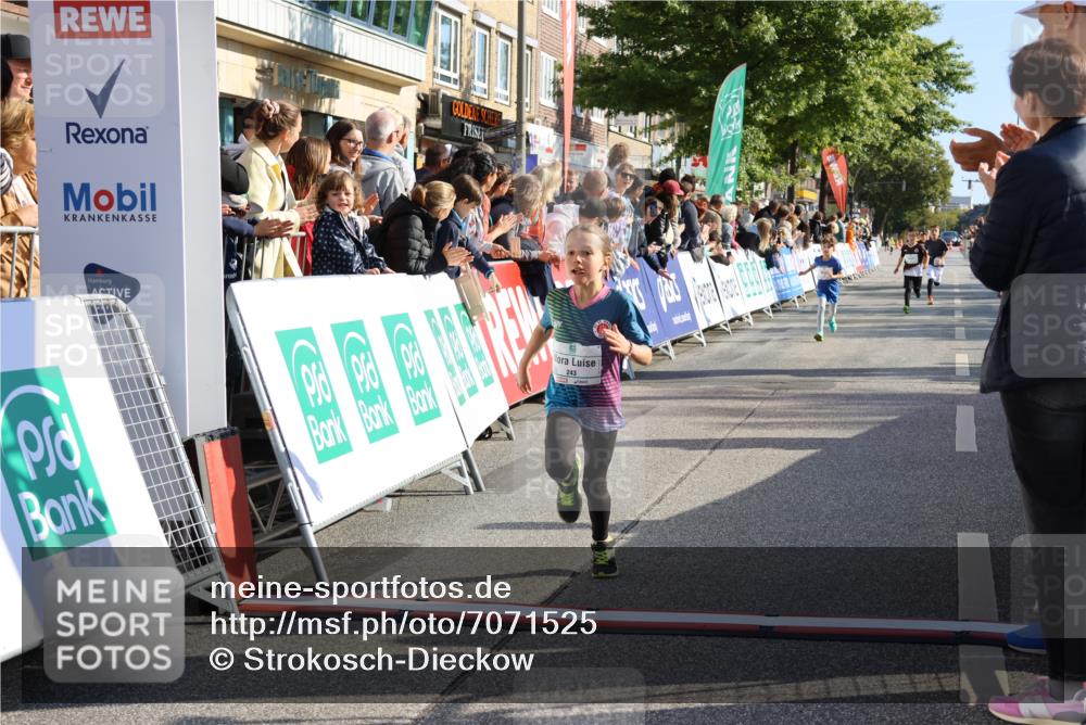 15.09.2024 - PSD Bank Halbmarathon Strokosch-Dieckow http://msf.ph/oto/7071525 15.09.2024 10:28:43 Ziel 26, 45, 89, 92, 149, 162, 183, 184, 192, 243, 273, 285 meine-sportfotos.de