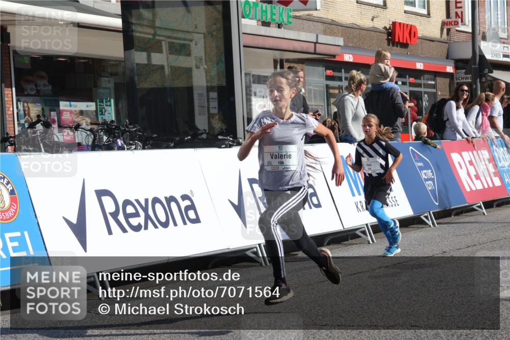 15.09.2024 - PSD Bank Halbmarathon Michael Strokosch http://msf.ph/oto/7071564 15.09.2024 10:28:16 Ziel 45, 84, 89, 132, 135, 149, 161, 166, 208, 217, 258, 285 meine-sportfotos.de