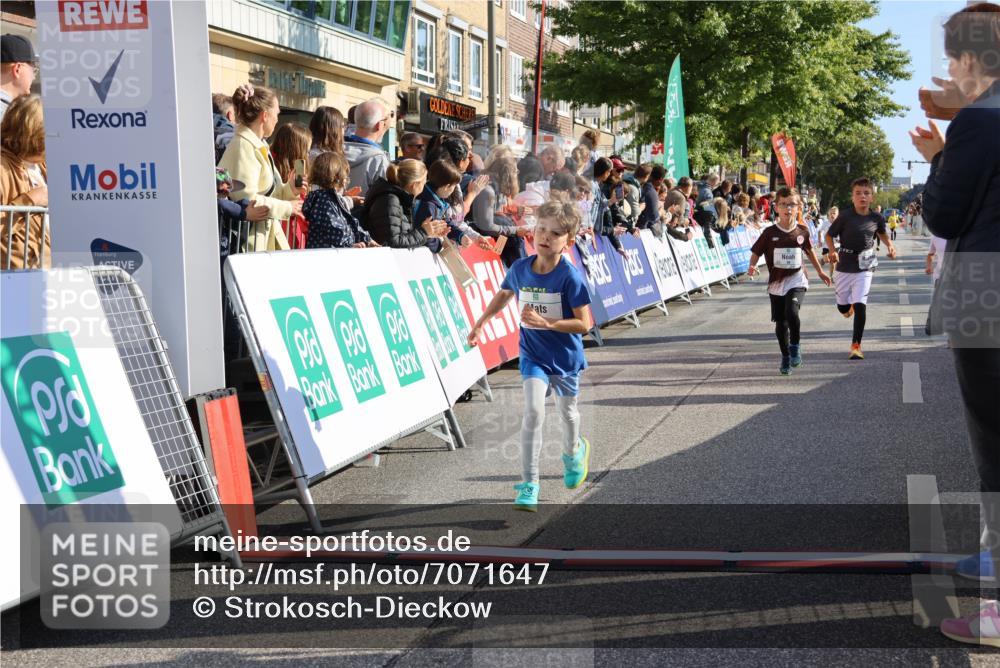 15.09.2024 - PSD Bank Halbmarathon Strokosch-Dieckow http://msf.ph/oto/7071647 15.09.2024 10:28:48 Ziel 26, 45, 89, 92, 162, 183, 184, 192, 243, 273, 305 meine-sportfotos.de