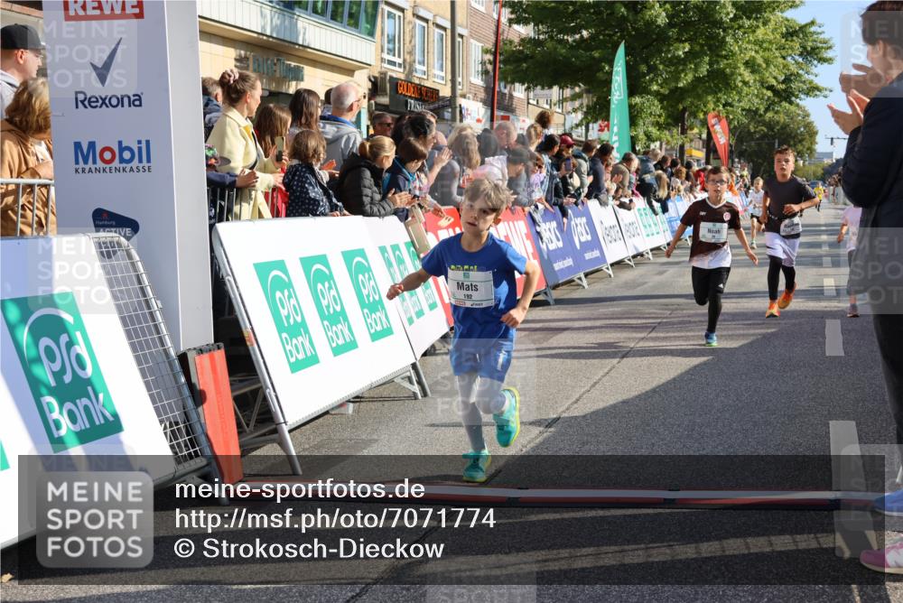 15.09.2024 - PSD Bank Halbmarathon Strokosch-Dieckow http://msf.ph/oto/7071774 15.09.2024 10:28:48 Ziel 26, 45, 89, 92, 162, 183, 184, 192, 243, 273, 305 meine-sportfotos.de